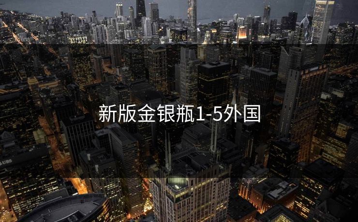 新版金银瓶1-5外国