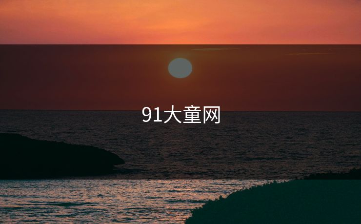 91大童网
